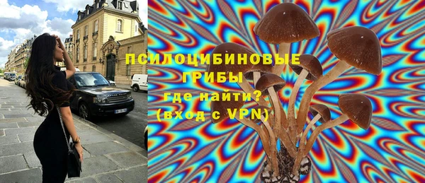 стафф Абдулино