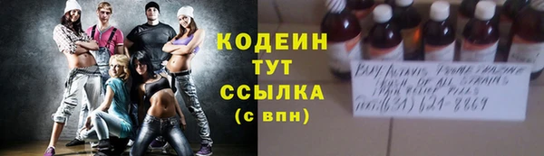 гидра Абаза