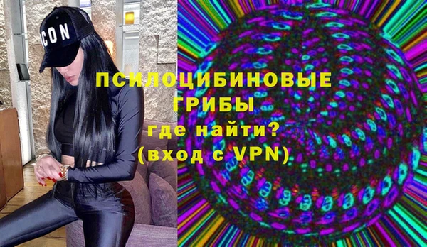 гидра Абаза