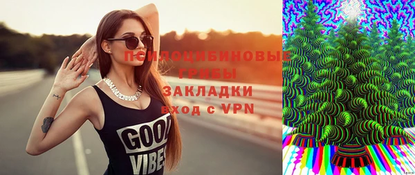 гидра Абаза