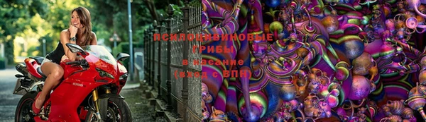 стафф Абдулино