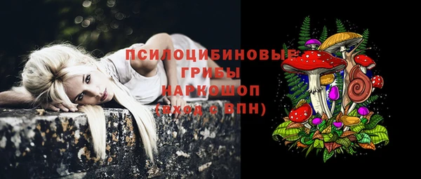 стафф Абдулино