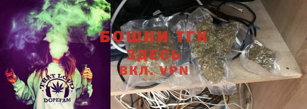 гидра Абаза